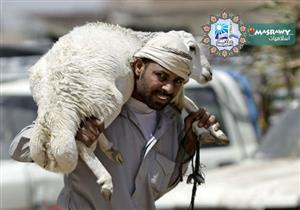 ما حكم إعطاء الجزار أجرته من الأضحية؟