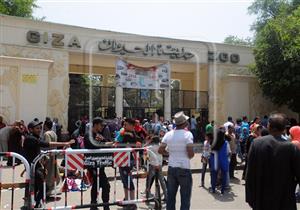 الزراعة: إقبال كبير من المواطنين على الحدائق والمنتزهات التابعة للوزارة