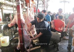 بالصور.. رانيا "جزارة إسكندرية" واجهت الحياة بعد مرض زوجها