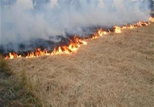 البيئة: إجراءات مشددة لمواجهة نوبات تلوث الهواء بـ 3 محافظات