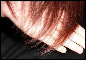 تقنية حديثة لتحليل البروتينات الموجودة في الشعر لتحديد مرتكب الجريمة 