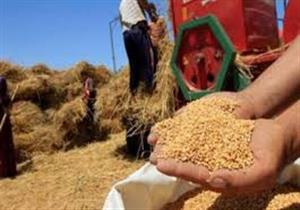 نائب يطالب بسحب الثقة من وزير الزراعة بسبب قمح الإرجوت