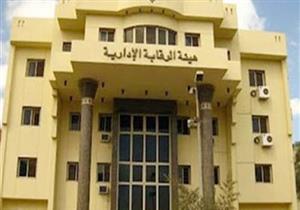 الرقابة المالية: بدء العمل بآلية إصدار وتوزيع وثائق التأمين إلكترونيًا