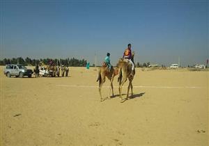 بالصور.. انطلاق الدورة الثالثة لمهرجان الهجن بالأقصر 