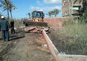 إزالة 13 حالة تعد على أراض زراعية بدمياط