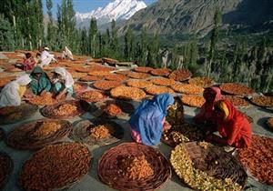 النظام الغذائي والبعد عن اللحوم سر قبيلة هونزا