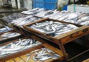 الإسكندرية.. "بحر وملاحات ومفيش سمك" وصيادون: الحل في ليبيا وتونس