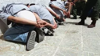 ضبط تشكيل عصابي بحوزته 76 كيلو مخدرات بالدقهلية
