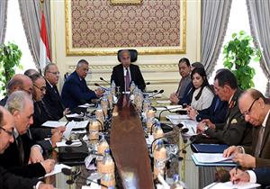 رئيس الوزراء يعيد تشكيل لجنة إدارة شئون الشركة العربية للصناعات الدوائية