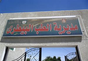 ظهور حالتي حمى قلاعية و 14 بروسيلا بماشية  في الوادي الجديد