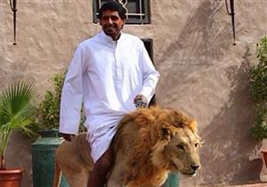 بالصور - الإمارات تحظر على مواطنيها تربية الأسود والفهود!