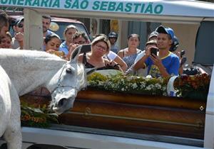 بالصور- حصان يبكي وفاة صاحبه ويشيعه إلى قبره!