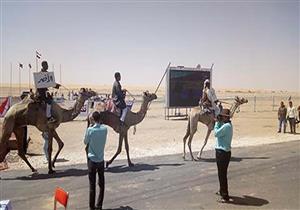 بالصور.. انطلاق فعاليات مهرجان الهجن بالوادي الجديد