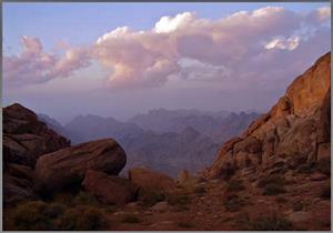 أي يوم كلم اللهُ فيه موسى عليه السلام ؟.. داعية يوضح (خاص)