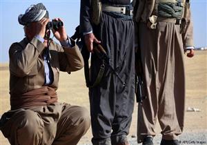 "على أكراد سوريا أن يتعلموا من درس كردستان العراق مع واشنطن"