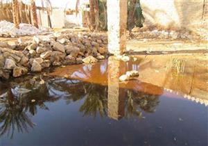 بالصور- المياه الجوفية تحاصر أهالي أسوان.. والمحافظ: "نعمة مش نقمة"