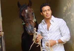 مصطفي شعبان يفوز بالمركز الثالث في بطولة مصر للخيول العربية الأصيلة