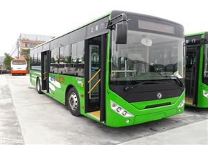 النقل العام في الإسكندرية: قريبا تشغيل 15 أتوبيسا بالكهرباء