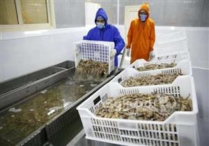 ما هو مشروع "بركة غليون" للاستزراع السمكي الذي افتتحه السيسي اليوم؟