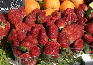 بسبب الشروط الجديدة.. تأخير بدء تصدير الفراولة  المصرية لأوروبا