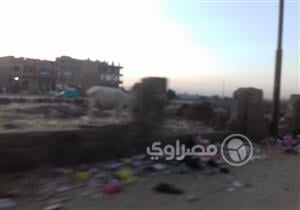 بالصور- بعد سرقة 2 كيلو متر من السور.. ترعة نجع حمادي تتحول لـ"زريبة"