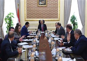 رئيس الوزراء: تسكين 70% من المدابغ والعاملين بمدينة الروبيكي- صور