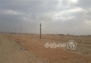 نشاط ملحوظ للرياح في السويس وانتظام حركة الملاحة