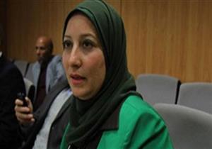 طلب إحاطة لإعادة تسعير شرائح الكهرباء لمشروعات "الفلاحين"