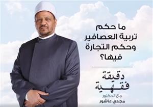 ما حكم تربية العصافير.. وما حكم الإتجار فيها؟