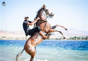  بالصور- لمحبي ركوب الخيل.. نصائح عامة للحصول على تجربة ممتعة