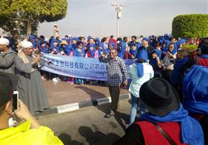 بالصور.. أسوان تستقبل السائحين بالورود احتفالا بحلول أعياد الكريسماس