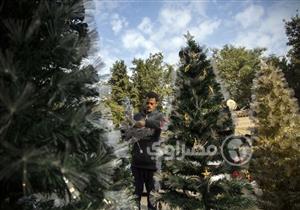 موسم "الكريسماس" يحمل الرزق لـ"عمران"