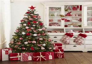  تبدأ من 10 جنيهات..تعرف على أسعار أشجار"الكريسماس"