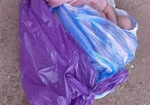 العثور على جثة رضيعة في كيس بلاستيك قبل أن يلتهما كلب بالمنيا