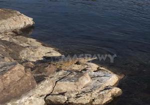 البيئة: إطلاق سراح تمساح أسوان ببحيرة ناصر