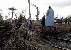 تأخر قطارات الصعيد بعد سقوط "نخلة" على شريط السكة الحديد- صور