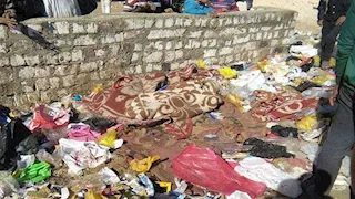 الكلاب نهشت جثة الطفل.. كشف لغز جريمة "أم زغيو" في الإسكندرية