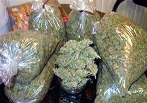 "حرس الحدود" تحبط تهريب 2.3 طن بانجو بشاطئ خليج السويس