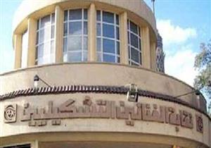 القضاء الإداري يؤيد إجراء انتخابات الفنانين التشكيليين في 3 مارس