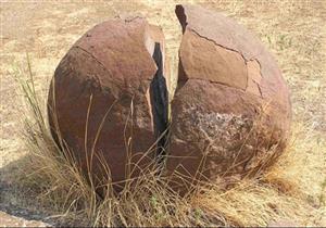 العثور على حفرية لـ30 بيضة ديناصور في فرنسا