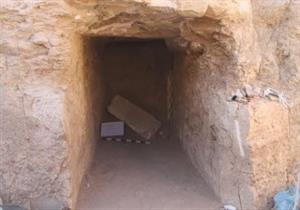 رئيس البعثة الألمانية بالأقصر: عثرنا على تماثيل ضخمة على هيئة أبو الهول