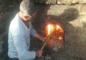 بالفيديو والصور- "عسل نجع حمادي".. عصّارات غير مرخصة وصناعة تتراجع