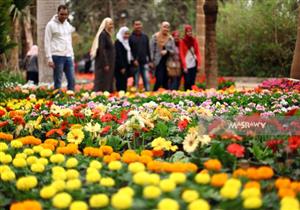 "يا ورد مين يشتريك في عيد الرنجة".. نُزهات مصرية في دنيا الزهور