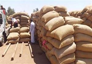 توريد 37 ألف طن القمح لصوامع قنا
