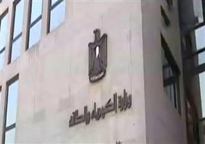 إجراءات عاجلة من الكهرباء لضمان استمرار التيار خلال عيد الأضحى المبارك