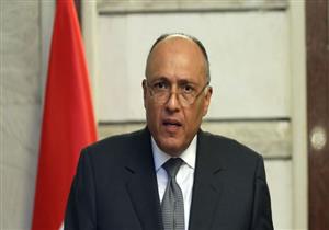 سامح شكري يسلم الرئيس الغاني رسالة من الرئيس السيسي