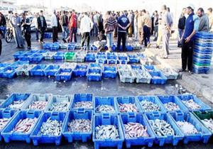 التجارة: 12 ألف جنيه رسوما على صادرات الأسماك لمدة 4 أشهر