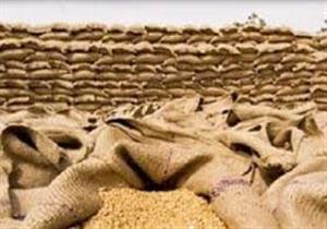 توريد 23120 طن قمح لصوامع وشون الشرقية