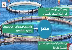بعد غلاء أسعارها ..مصراوي يرصد بالأرقام حجم إنتاج الأسماك في مصر