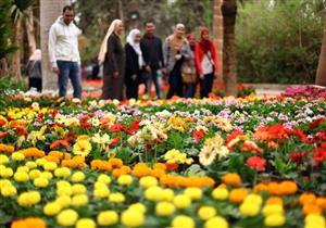 بالصور- بعد افتتاح معرضها.. زهور تعطيك طاقة إيجابية تعرف عليها